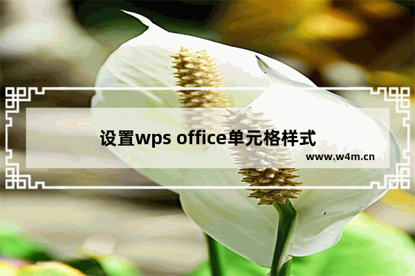 设置wps office单元格样式