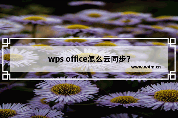 wps office怎么云同步？