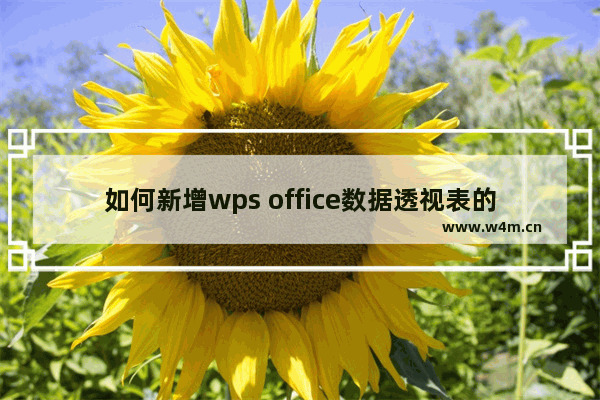 如何新增wps office数据透视表的项目？