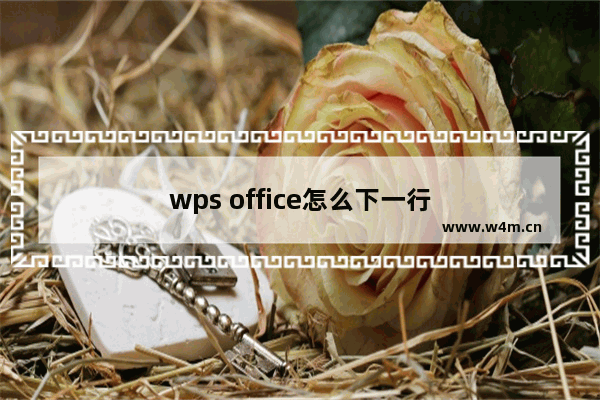 wps office怎么下一行