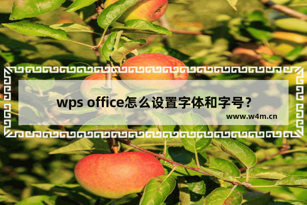 wps office怎么设置字体和字号？