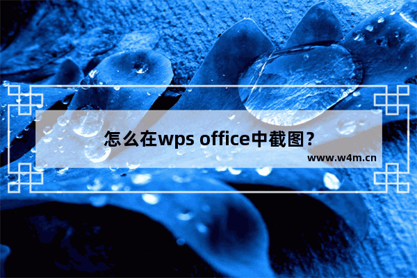 怎么在wps office中截图？