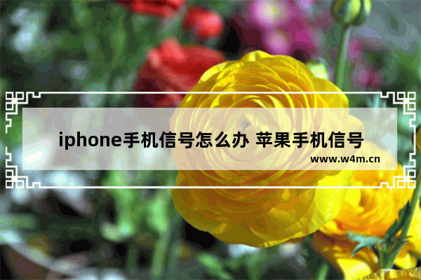 iphone手机信号怎么办 苹果手机信号差怎么办?