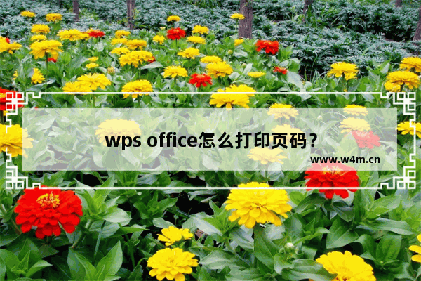 wps office怎么打印页码？