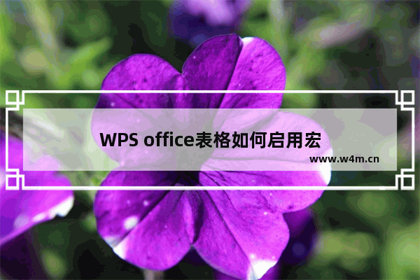 WPS office表格如何启用宏