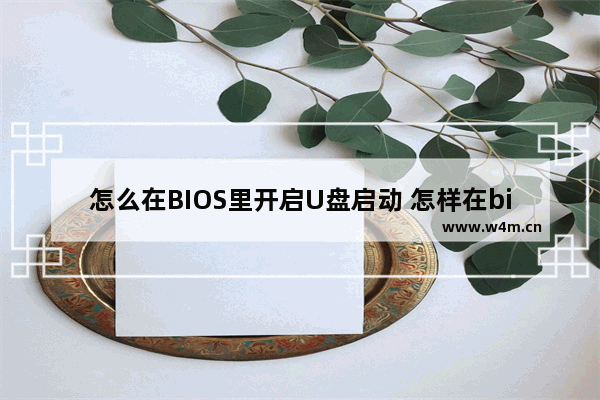 怎么在BIOS里开启U盘启动 怎样在bios中打开u盘启动