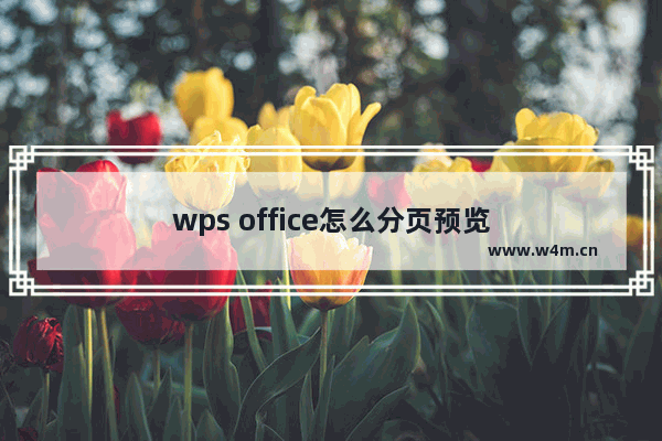 wps office怎么分页预览