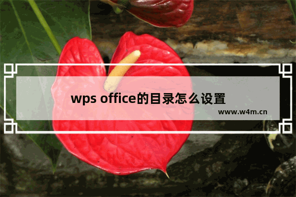 wps office的目录怎么设置