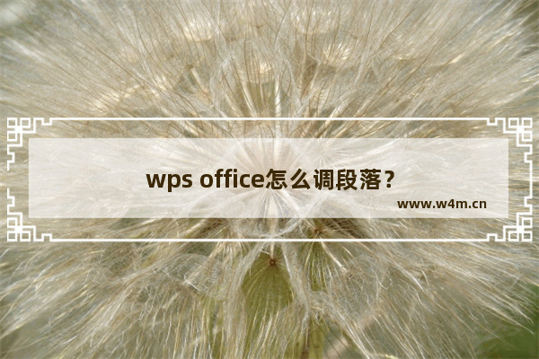 wps office怎么调段落？