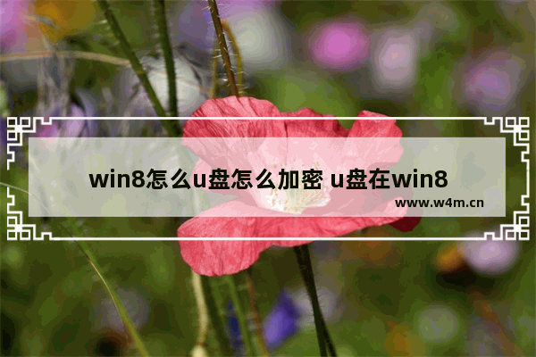 win8怎么u盘怎么加密 u盘在win8如何上锁