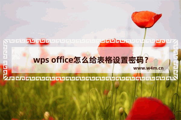 wps office怎么给表格设置密码？