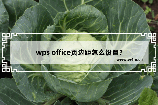 wps office页边距怎么设置？