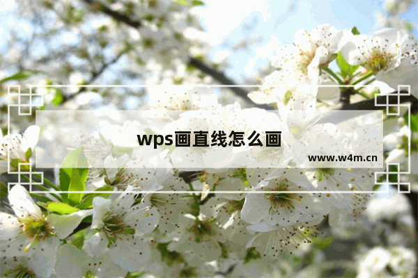 wps画直线怎么画