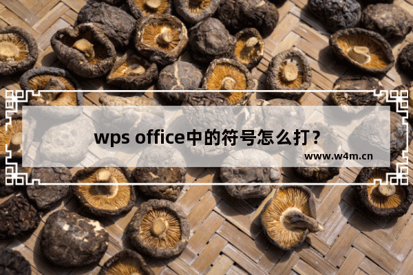 wps office中的符号怎么打？