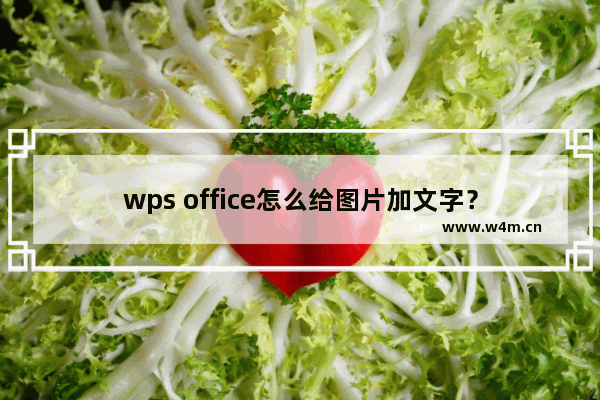 wps office怎么给图片加文字？