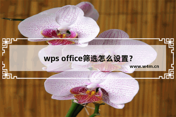 wps office筛选怎么设置？