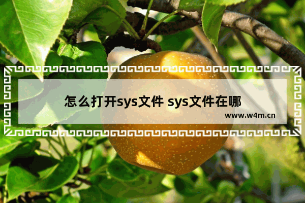 怎么打开sys文件 sys文件在哪