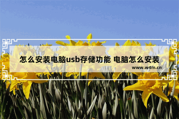 怎么安装电脑usb存储功能 电脑怎么安装usb驱动程序