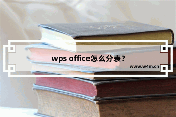 wps office怎么分表？