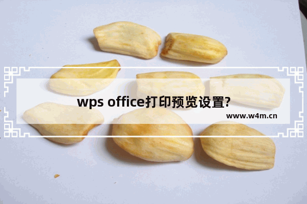 wps office打印预览设置?