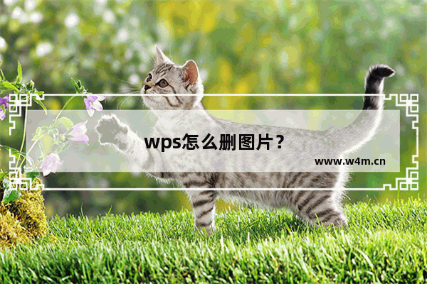 wps怎么删图片？