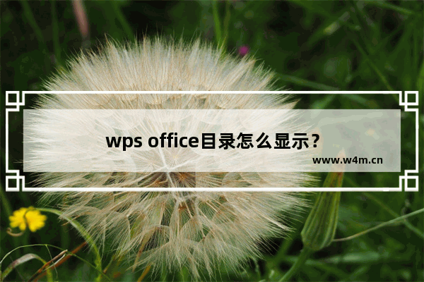 wps office目录怎么显示？