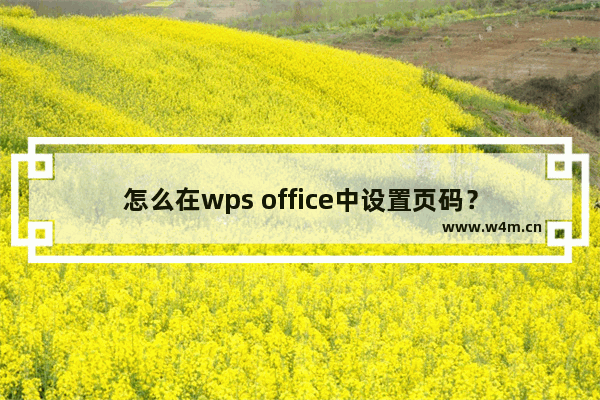 怎么在wps office中设置页码？