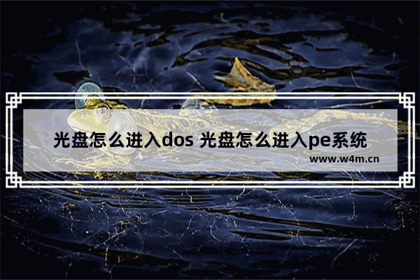 光盘怎么进入dos 光盘怎么进入pe系统安装