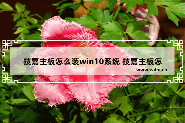 技嘉主板怎么装win10系统 技嘉主板怎么装win11