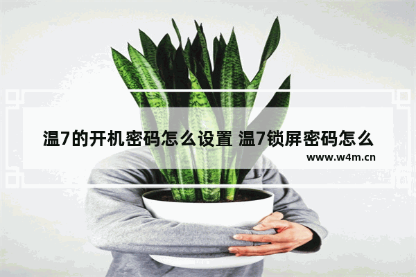 温7的开机密码怎么设置 温7锁屏密码怎么设置