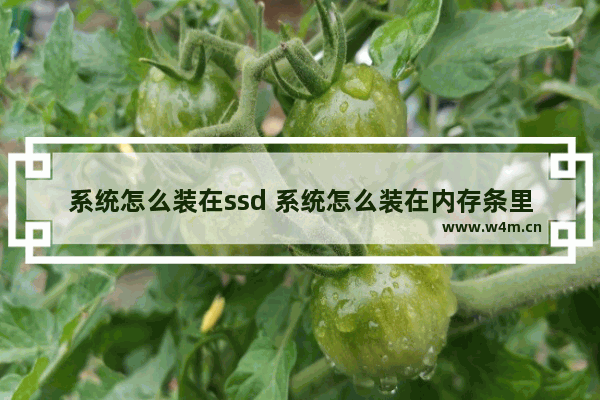 系统怎么装在ssd 系统怎么装在内存条里