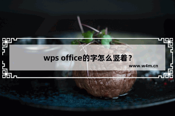 wps office的字怎么竖着？