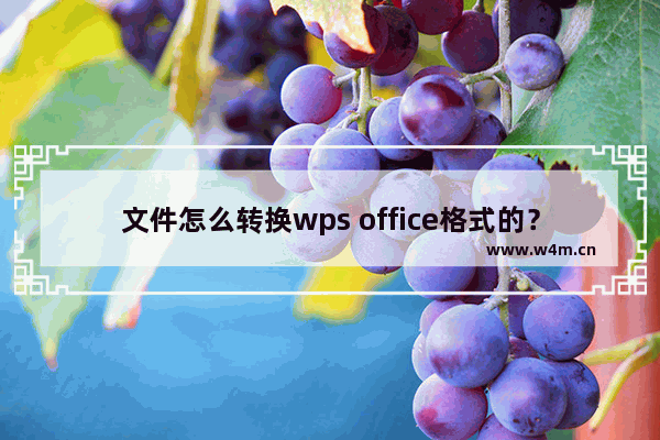 文件怎么转换wps office格式的？