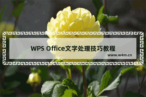 WPS Office文字处理技巧教程