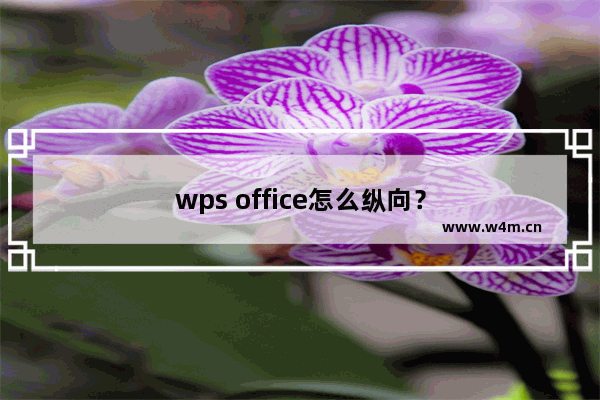 wps office怎么纵向？