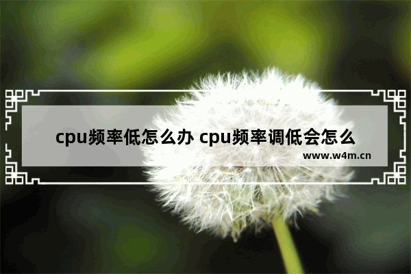 cpu频率低怎么办 cpu频率调低会怎么样