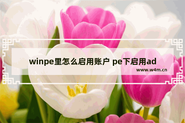 winpe里怎么启用账户 pe下启用administrator账户