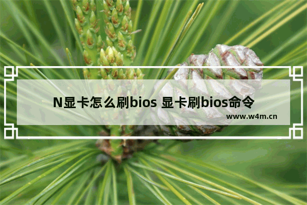 N显卡怎么刷bios 显卡刷bios命令