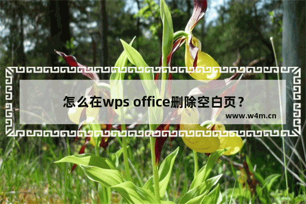 怎么在wps office删除空白页？