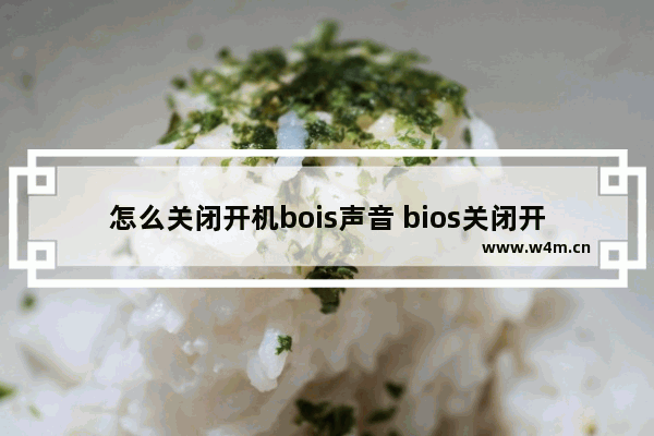 怎么关闭开机bois声音 bios关闭开机滴的声音