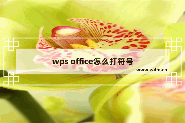 wps office怎么打符号