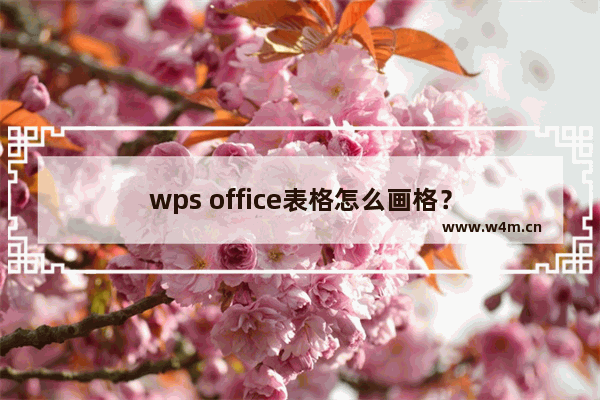 wps office表格怎么画格？