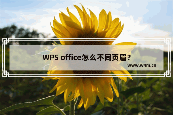 WPS office怎么不同页眉？