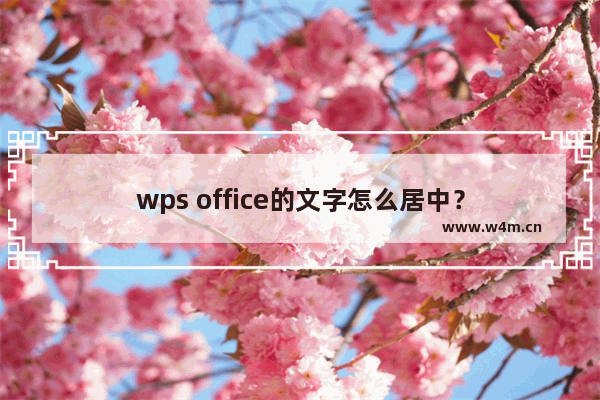 wps office的文字怎么居中？