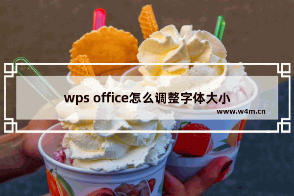 wps office怎么调整字体大小