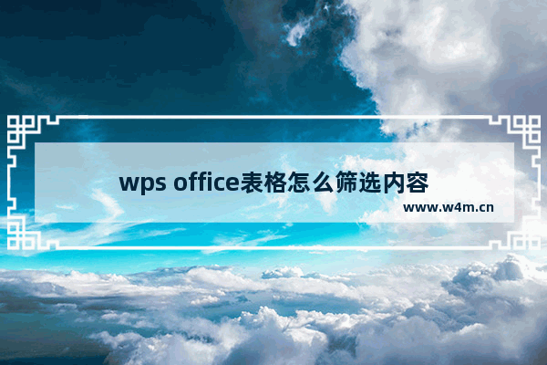 wps office表格怎么筛选内容