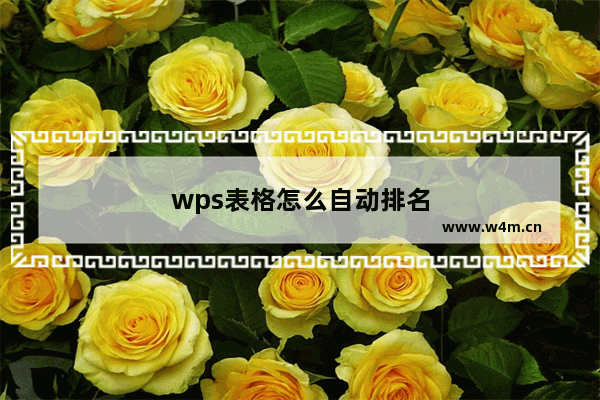 wps表格怎么自动排名