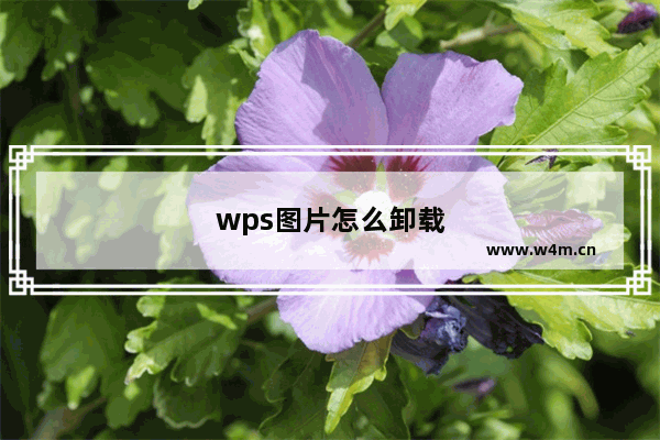 wps图片怎么卸载