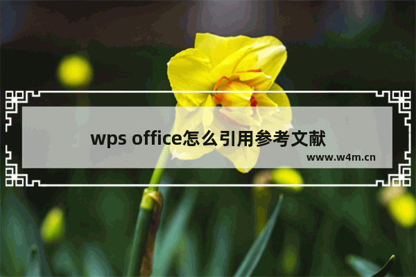 wps office怎么引用参考文献