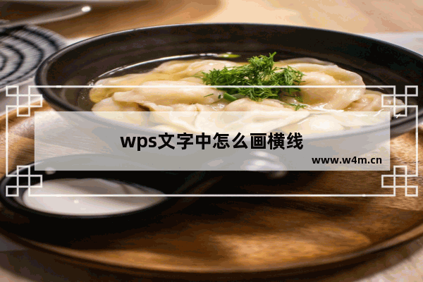 wps文字中怎么画横线